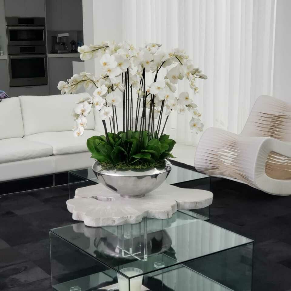 avenue bowl with white phalaenopsis orchids