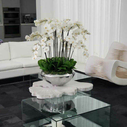 Avenue Bowl with White Phalaenopsis Orchids