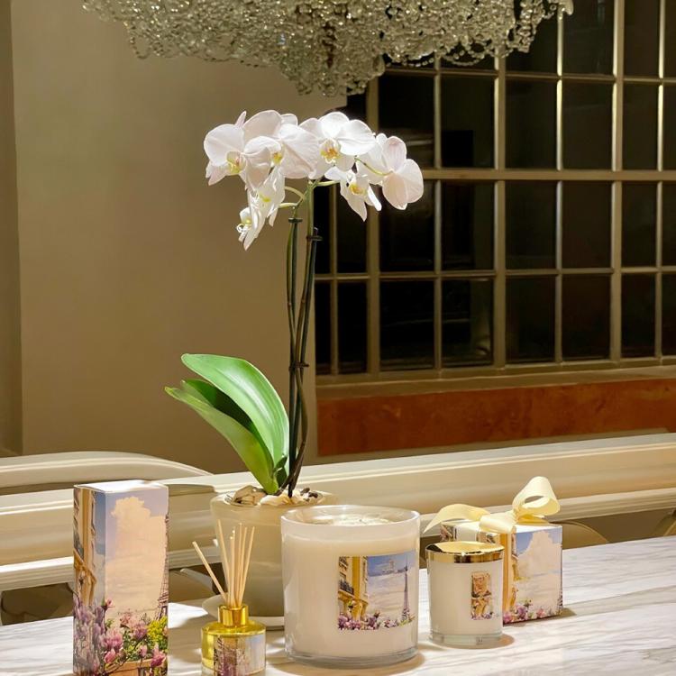 night blooming candle room spray