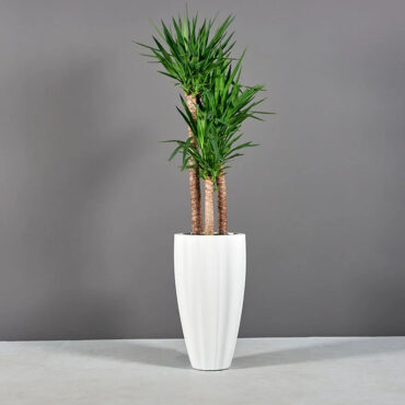San Jose Fluted Planter