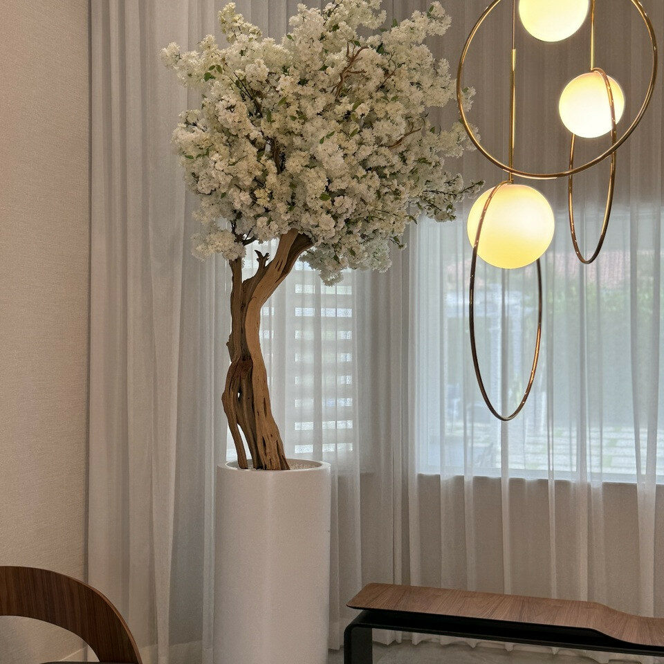 8ft white magnolia tree in glossy beige st. tropez planter