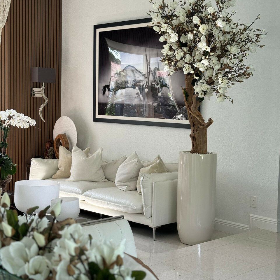 8ft white magnolia tree in glossy beige st. tropez planter