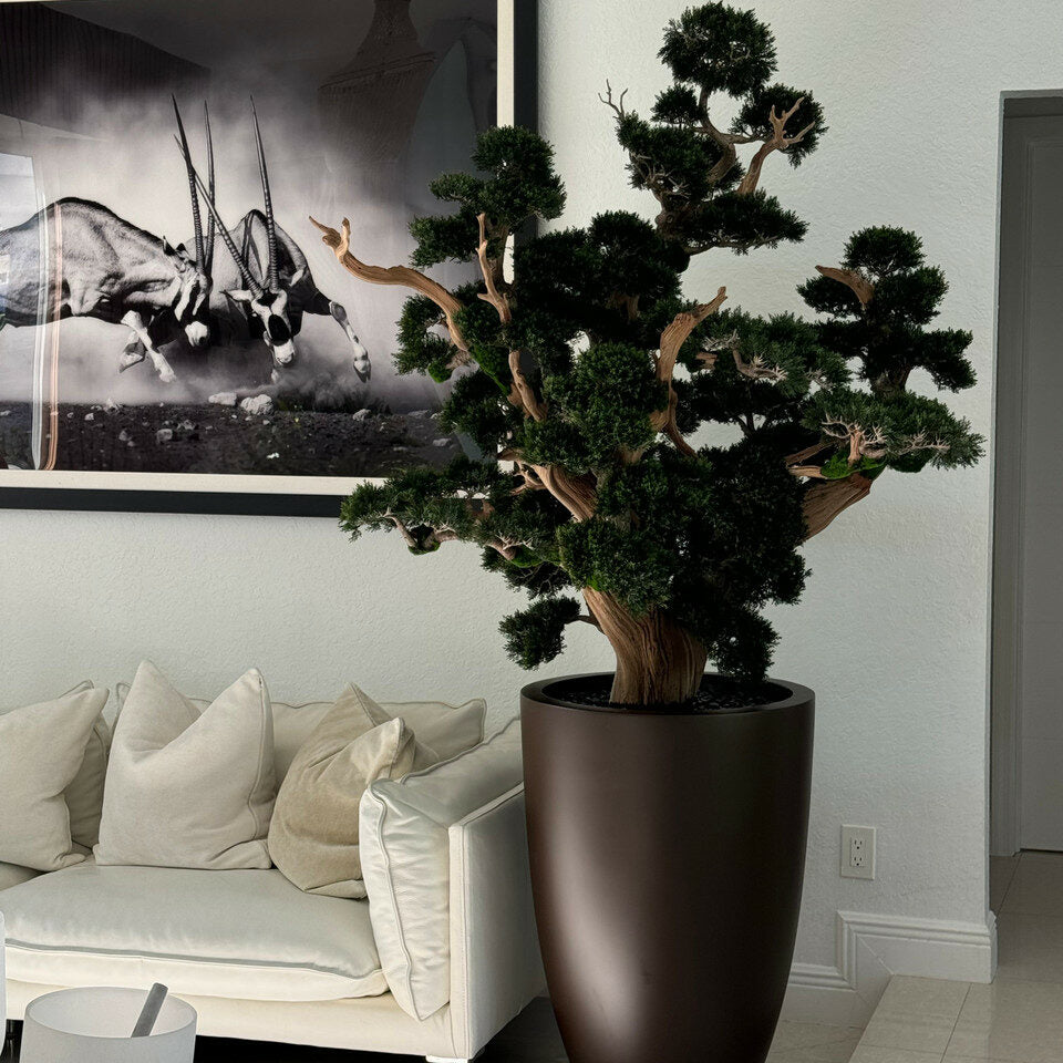 oversized bonsai in matte brown brannan planter