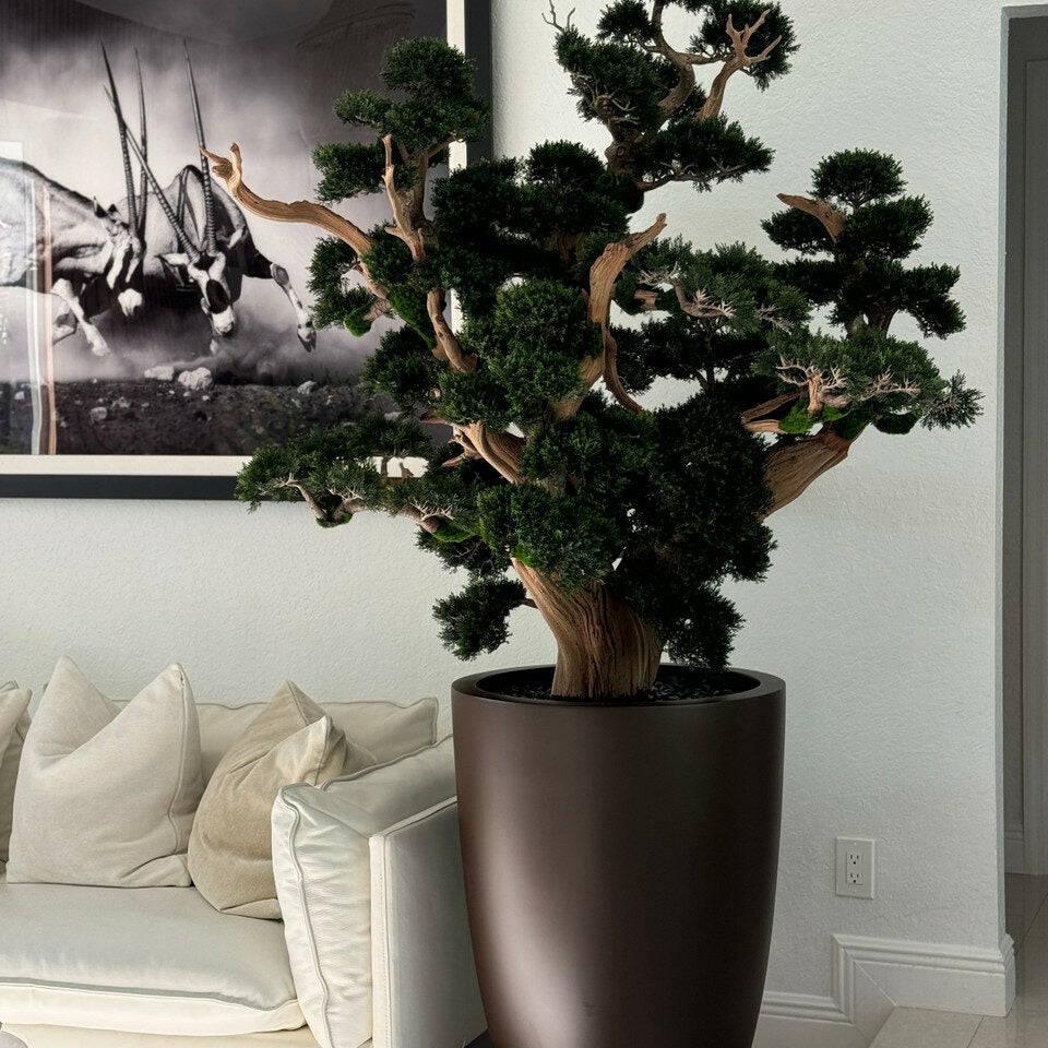 oversized bonsai in matte brown brannan planter