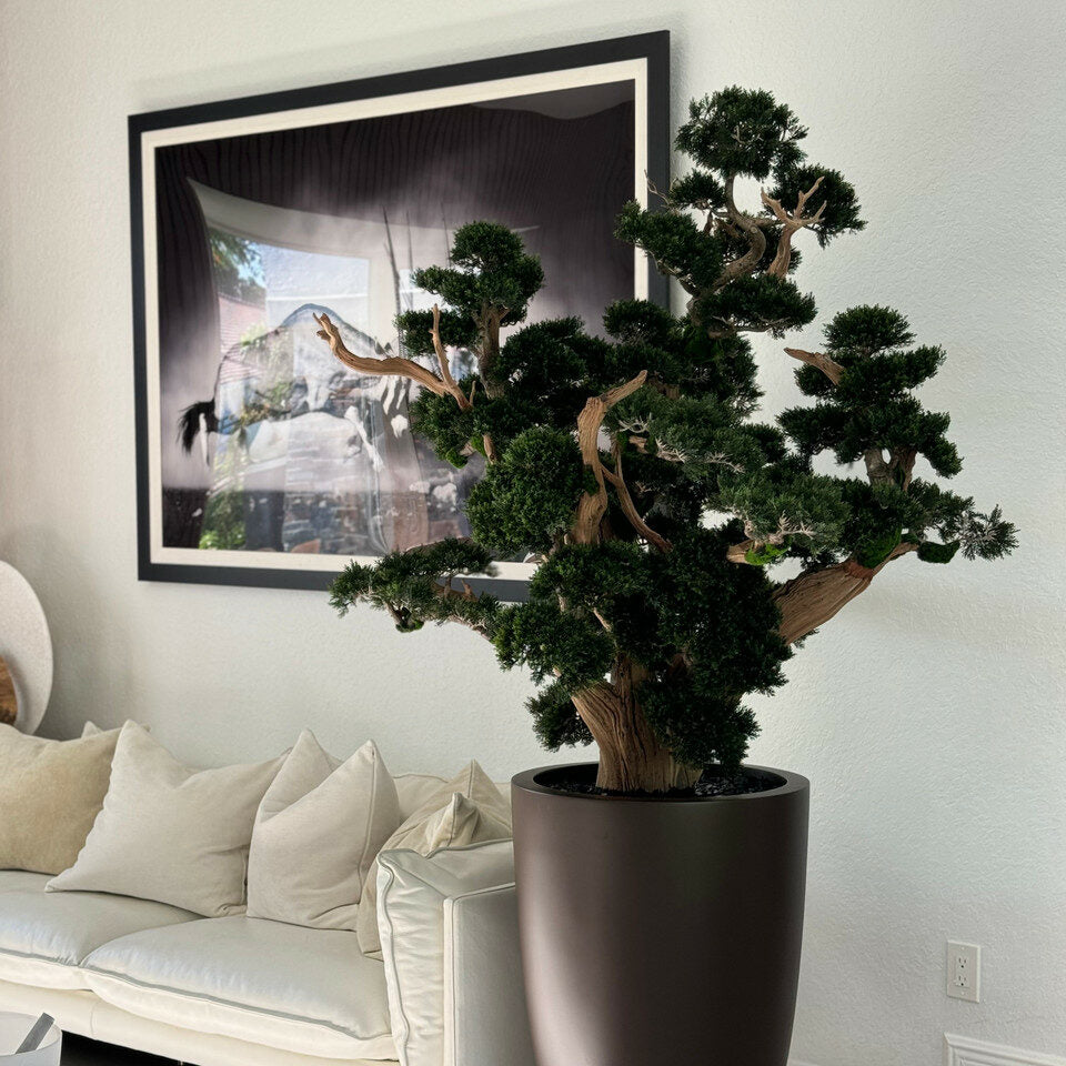 oversized bonsai in matte brown brannan planter