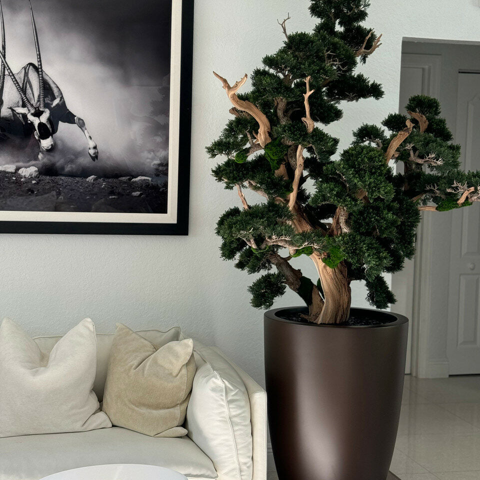 oversized bonsai in matte brown brannan planter