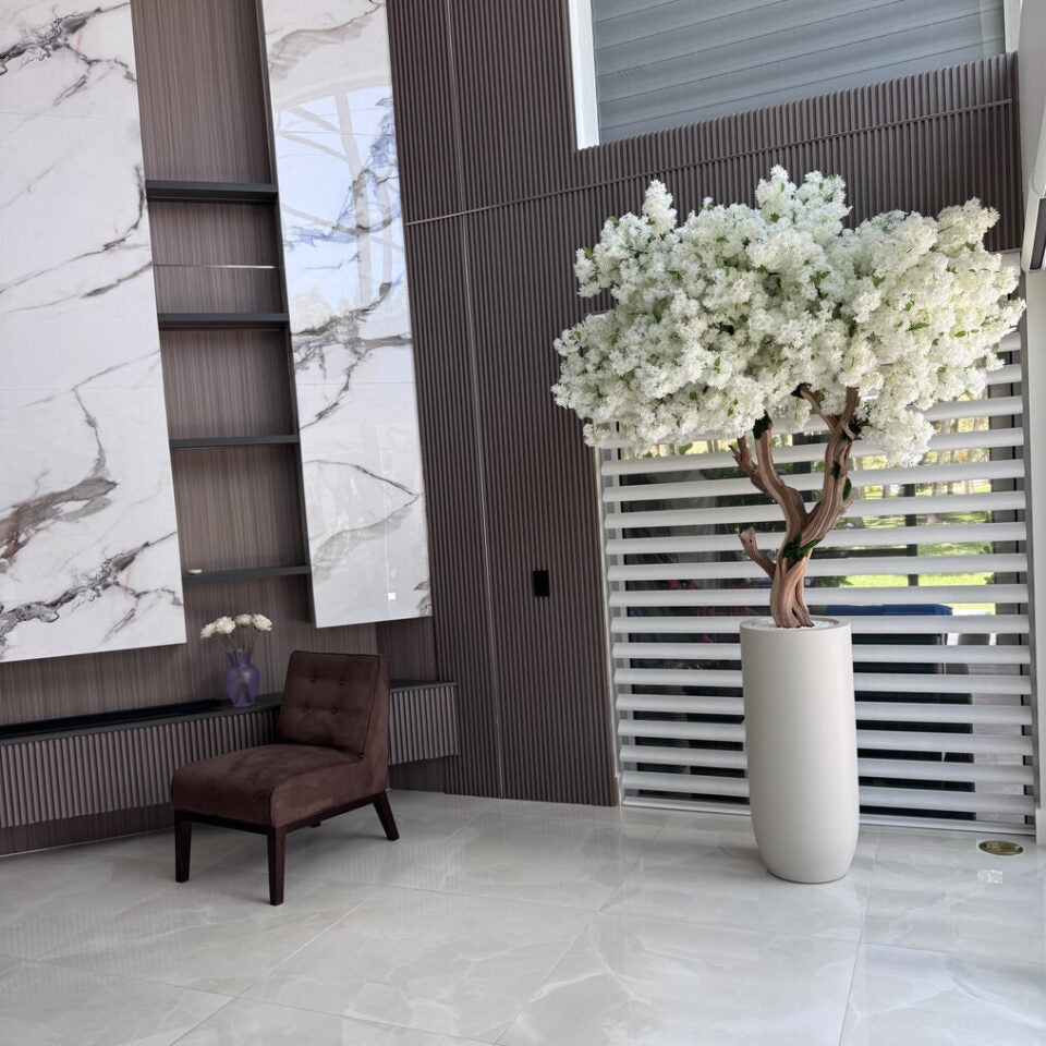 8ft white magnolia tree in glossy beige st. tropez planter