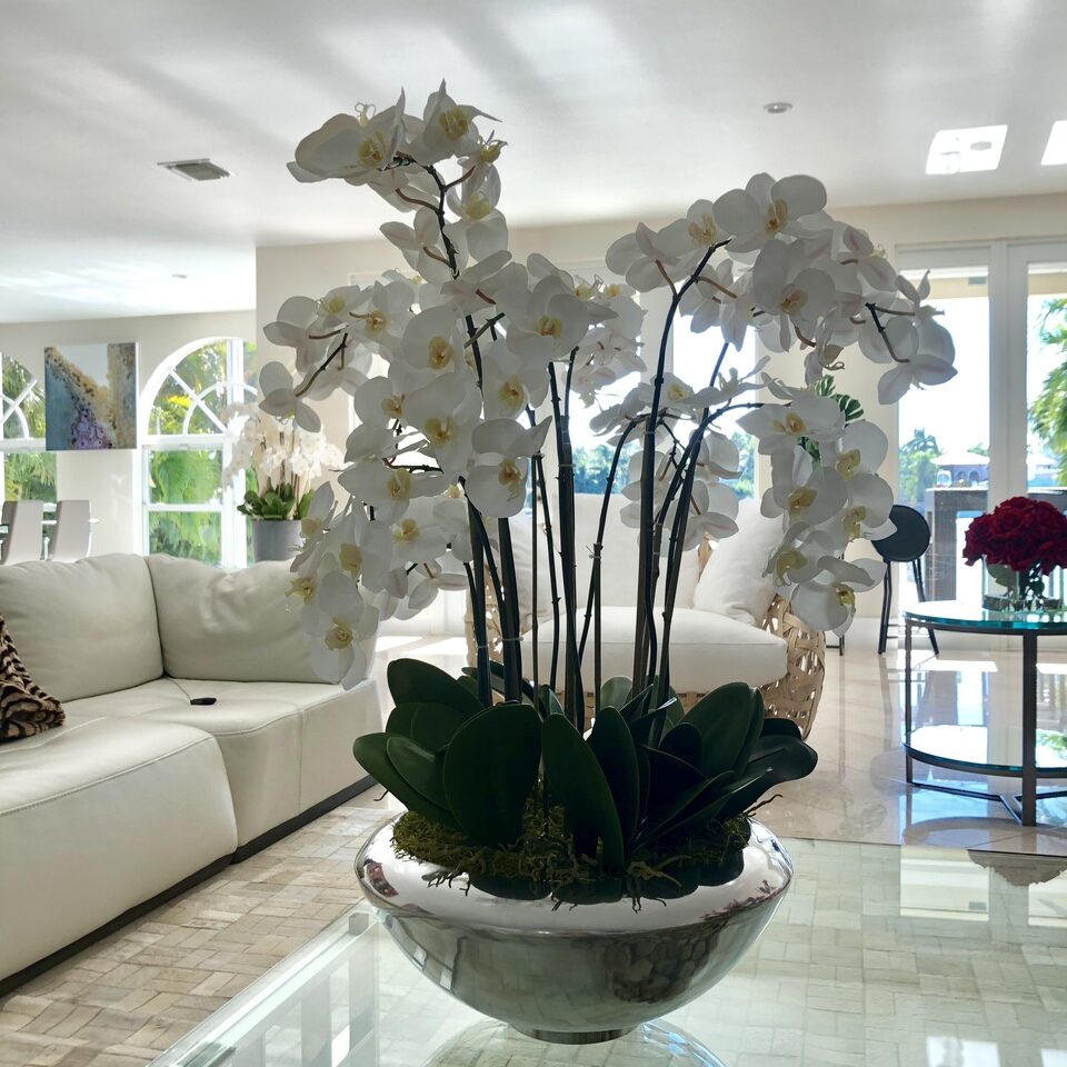 avenue bowl with white phalaenopsis orchids