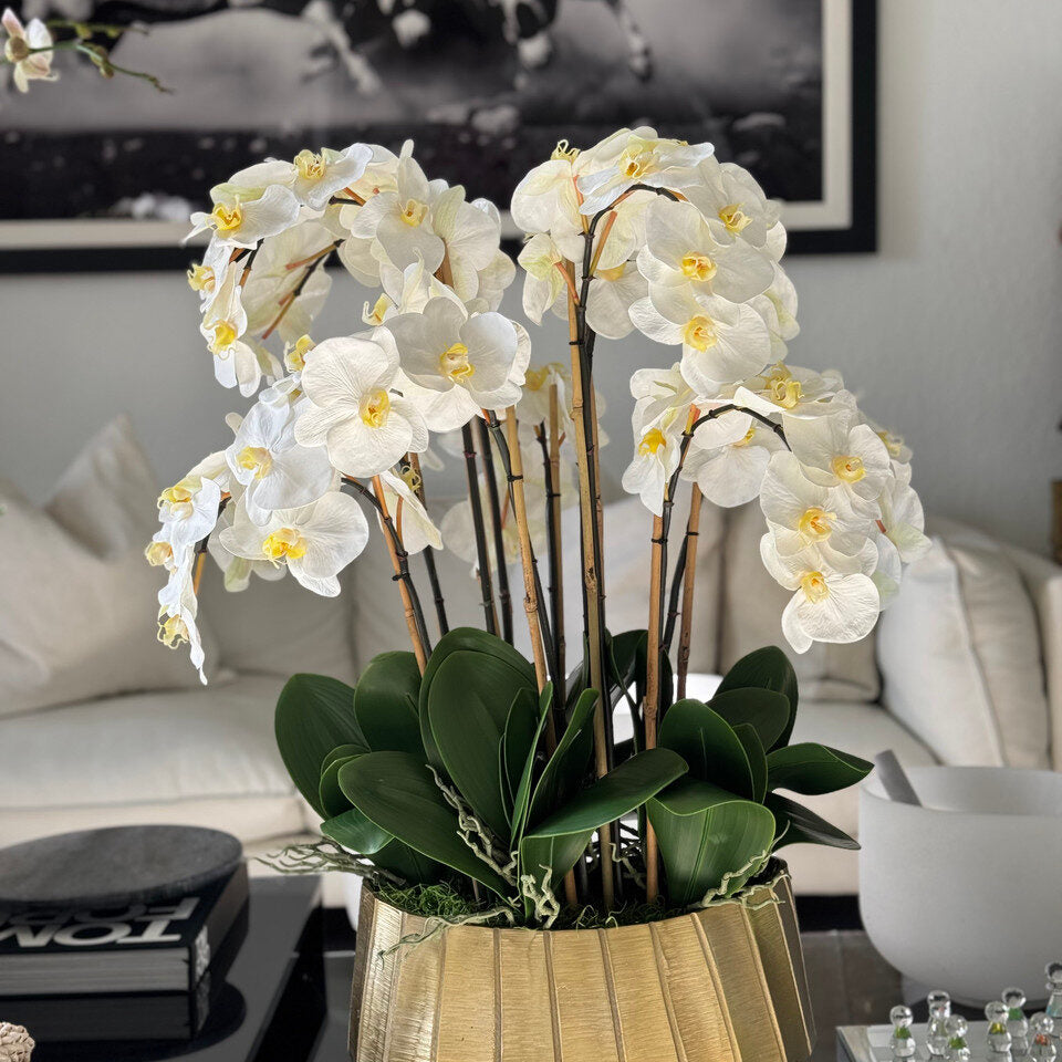 helena boat planter with white phaleanopsis orchids