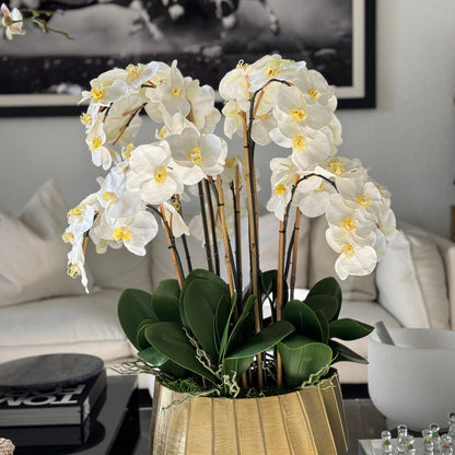 Helena Boat Planter with White Phaleanopsis Orchids