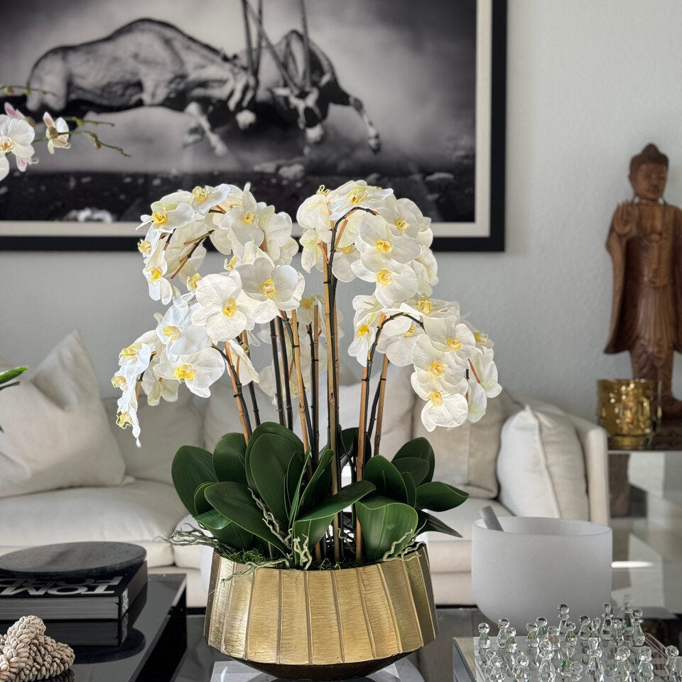 helena boat planter with white phaleanopsis orchids
