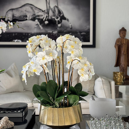 Helena Boat Planter with White Phaleanopsis Orchids