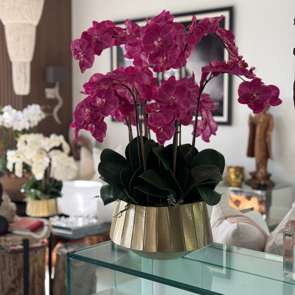 helena orchidées roses