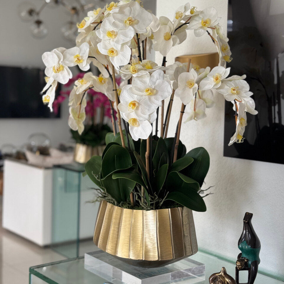 helena boat planter with white phaleanopsis orchids