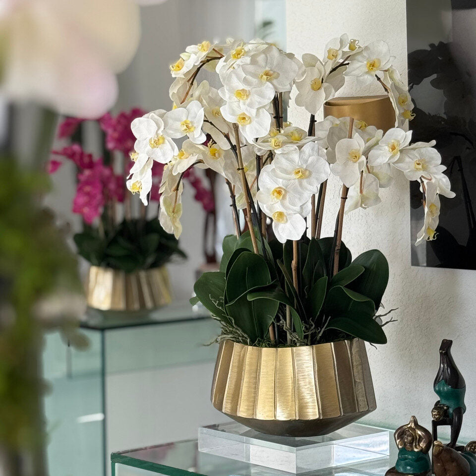 helena boat planter with white phaleanopsis orchids