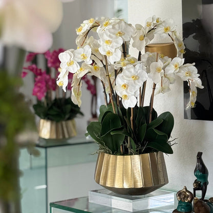 Helena Boat Planter with White Phaleanopsis Orchids