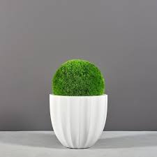 santa barbara fluted planter