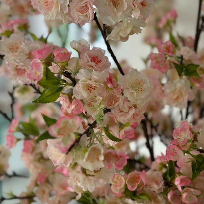 Pink Cherry Blossoms In 16″ Glass Cylinder